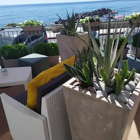 Apartment Zi Dima *