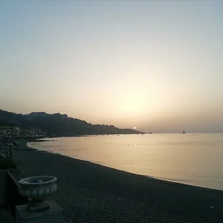 Zi Dima